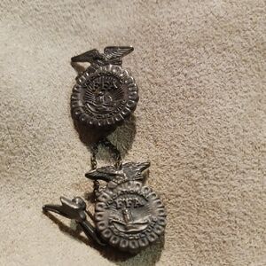 Elegant Silver FFA Lapel Pens